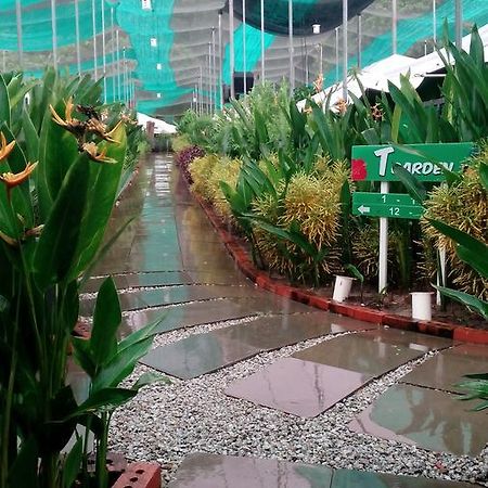 Willa T Garden Pantai Cenang  Zewnętrze zdjęcie