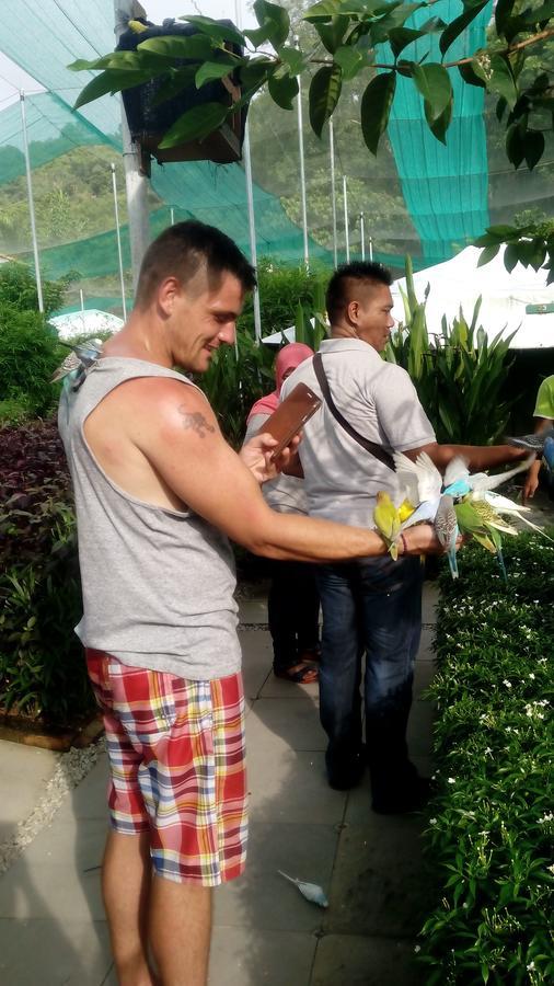 Willa T Garden Pantai Cenang  Zewnętrze zdjęcie