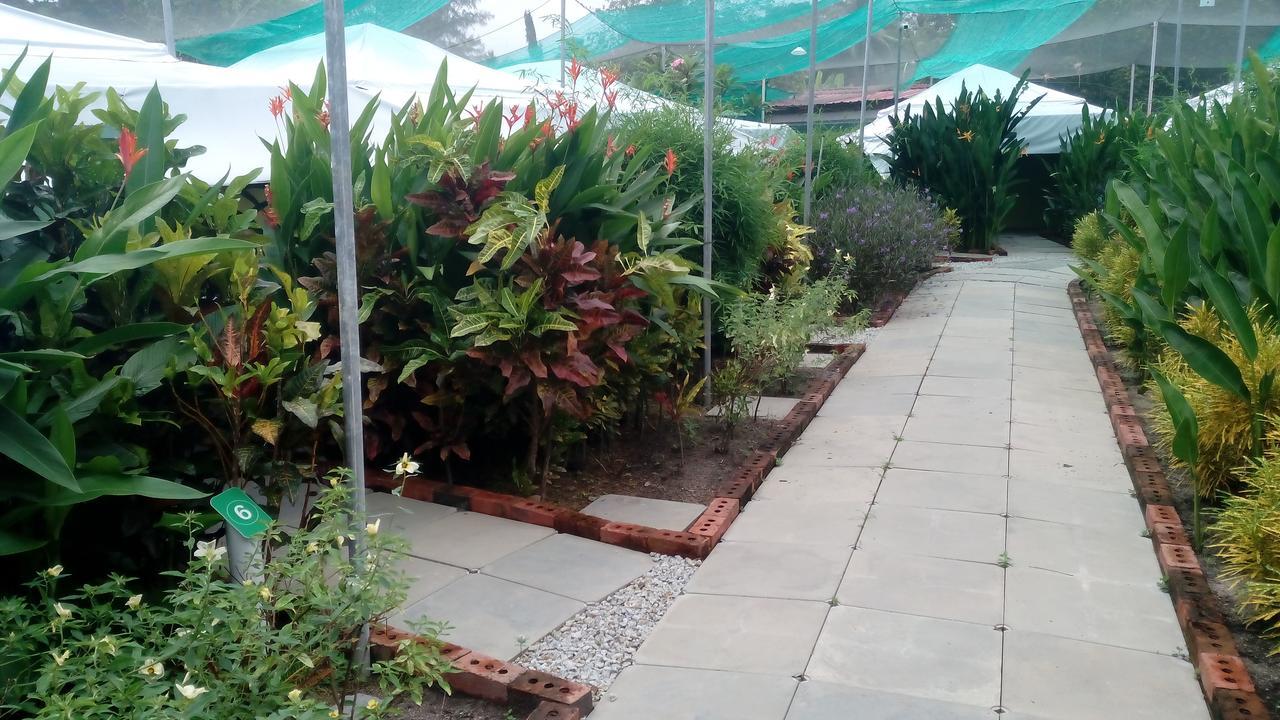 Willa T Garden Pantai Cenang  Zewnętrze zdjęcie