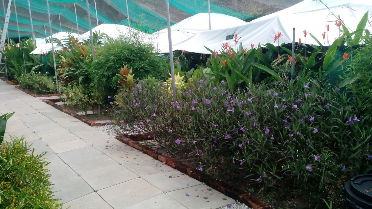 Willa T Garden Pantai Cenang  Zewnętrze zdjęcie