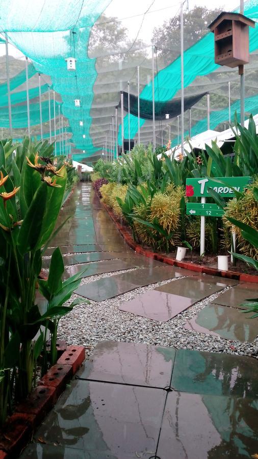 Willa T Garden Pantai Cenang  Zewnętrze zdjęcie