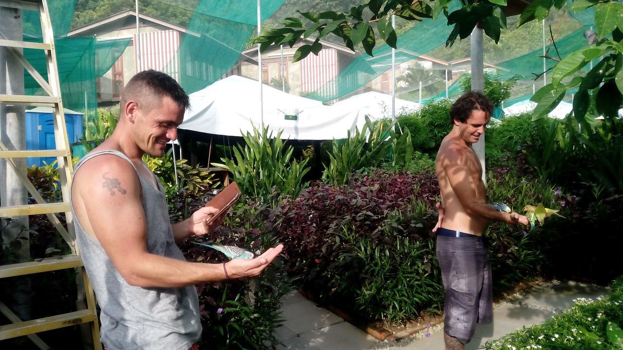 Willa T Garden Pantai Cenang  Zewnętrze zdjęcie