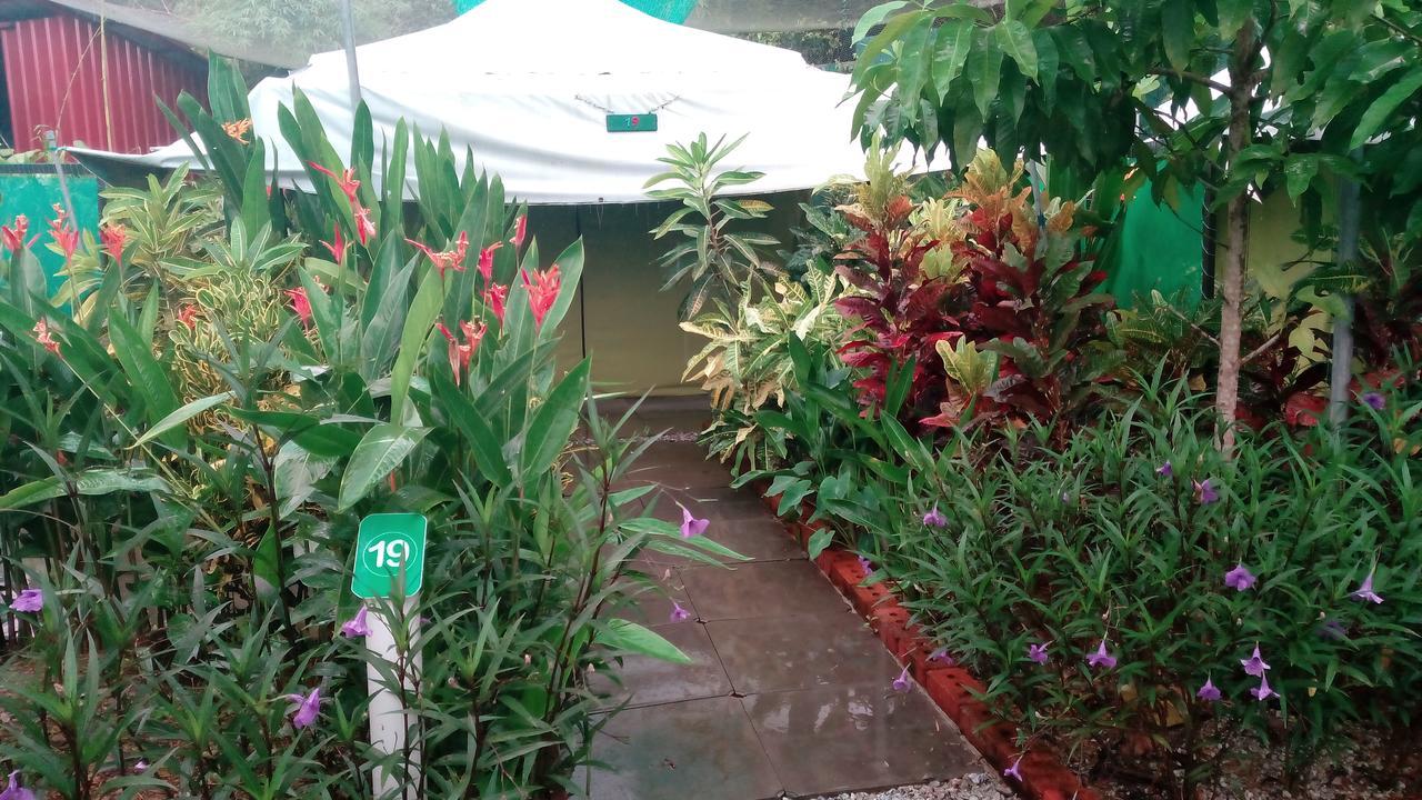 Willa T Garden Pantai Cenang  Zewnętrze zdjęcie