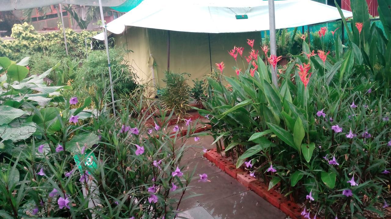 Willa T Garden Pantai Cenang  Zewnętrze zdjęcie