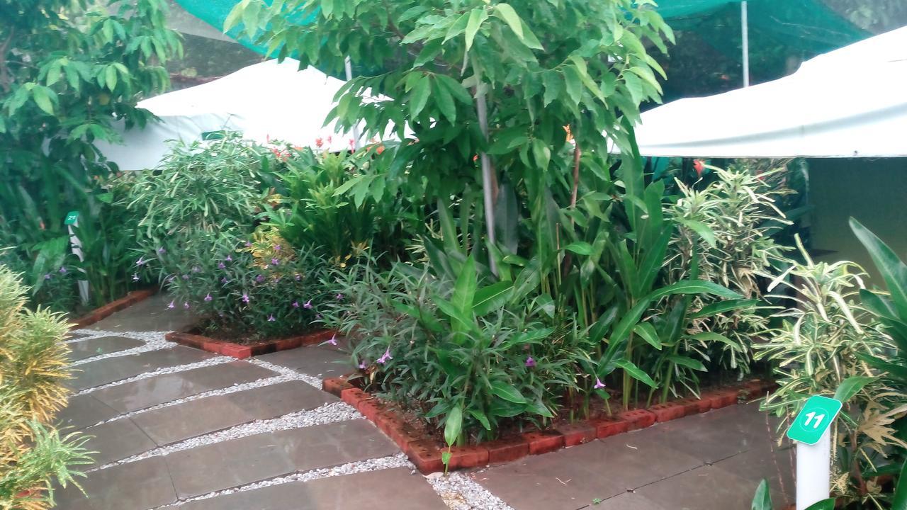 Willa T Garden Pantai Cenang  Zewnętrze zdjęcie