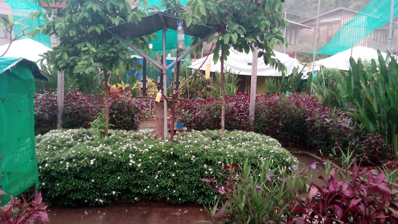 Willa T Garden Pantai Cenang  Zewnętrze zdjęcie