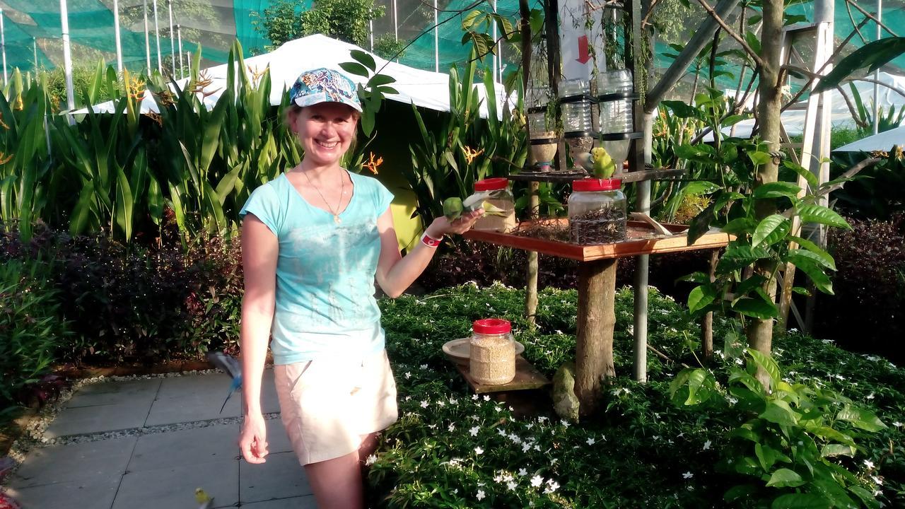 Willa T Garden Pantai Cenang  Zewnętrze zdjęcie