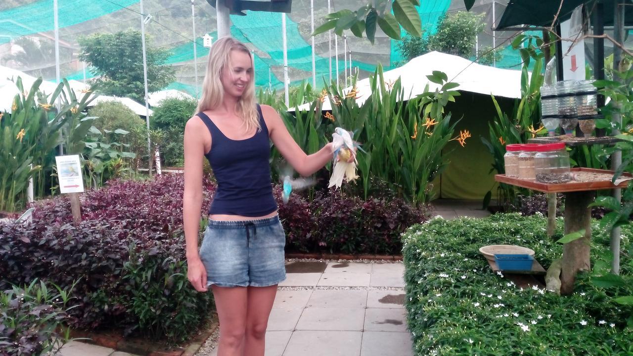Willa T Garden Pantai Cenang  Zewnętrze zdjęcie